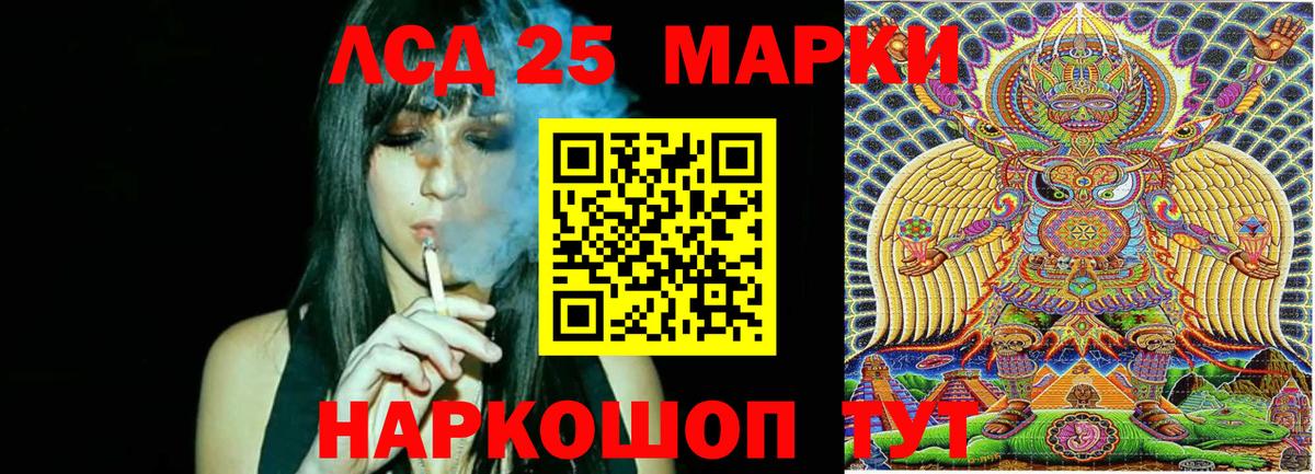 Наркотические марки 1,8мг  Наркотические марки 1,8мг  цены   Бердск  Вход с VPN 