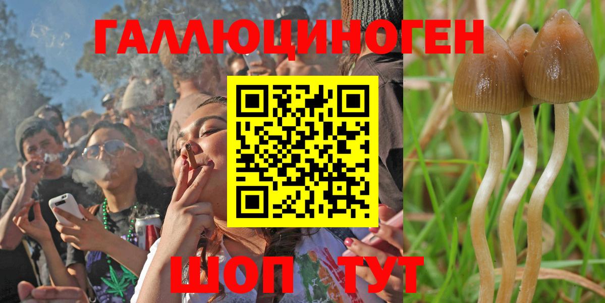 Псилоцибиновые грибы MAGIC MUSHROOMS  Псилоцибиновые грибы мухоморы  Вход с VPN  Бердск 
